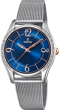 Festina F20420/4