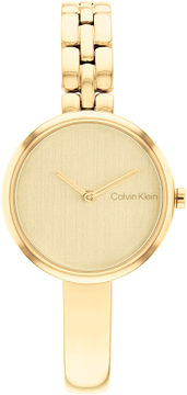 Calvin Klein CK25200279 Dames Horloge Staal 28mm