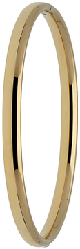 Glow Bangle scharnier ovaal 5x60mm 204.2560.60