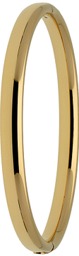 Glow Bangle scharnier ovaal 6x60mm 204.2660.60