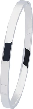 Zilverkleurig Lining Bangle Vierkant 5x60mm Zilver 104.1158.05