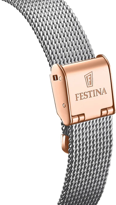 Festina AUTOMATIC SKELETON F20628/1 Festina AUTOMATIC SKELETON F20628/1