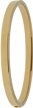 Glow Bangle scharnier vierkant 5x60mm 204.2561.60