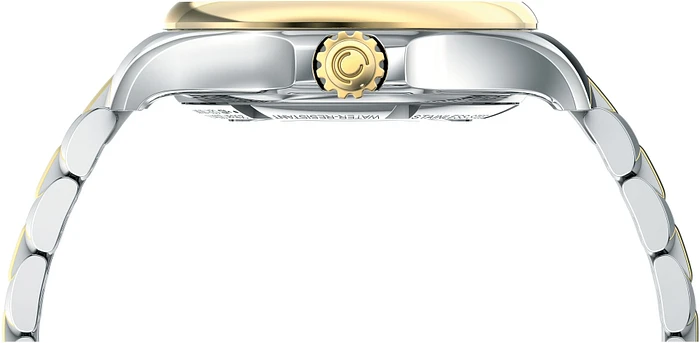 Certina DS ACTION Lady C032.207.22.116.00