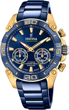 Festina F20547/1