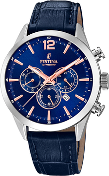 FESTINA F20542/4