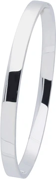 Zilverkleurig Lining Bangle Vierkant 6x64mm Zilver 104.1159.06