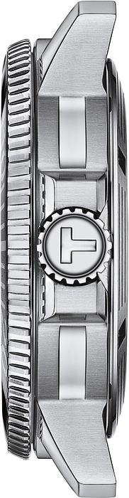 t1204071104103