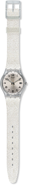 Swatch SILVERALL L GM416A