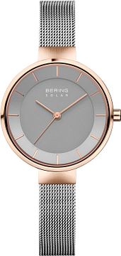 Bering  Solar  14631-369