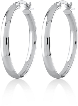 SWING JEWELS 925  EARRING SW-E2464