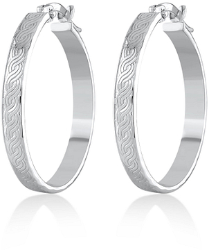 SWING JEWELS 925  EARRING SW-E2262