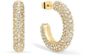 Bering Arctic Symphony Earrings