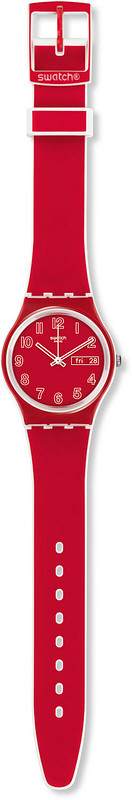 Swatch POPPY FIELD GW705 display picture 1