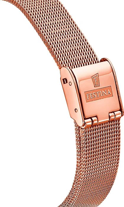 Festina F20599/1 Festina F20599/1