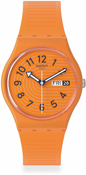 Swatch TRENDY LINES IN SIENNA SO28O703