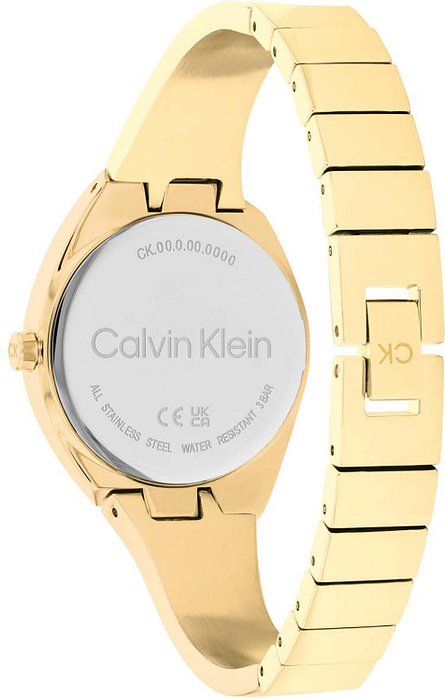 Calvin klein whirl watch on sale