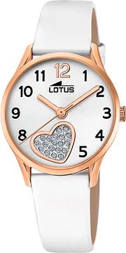 Lotus 18407/D