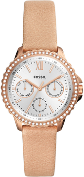 Fossil HOLIDAY ES4888
