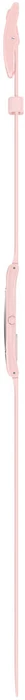 Swatch CARICIA ROSA SS09P100 Swatch CARICIA ROSA SS09P100