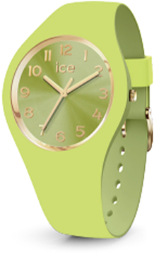 ICE WATCH duo chic Lime IW021820 S 37mm