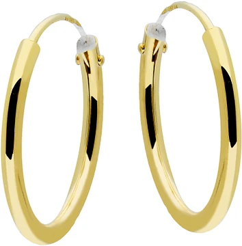 Glow Oorringen Ronde buis 15x1.3mm Goudkleurig 207.0002.15